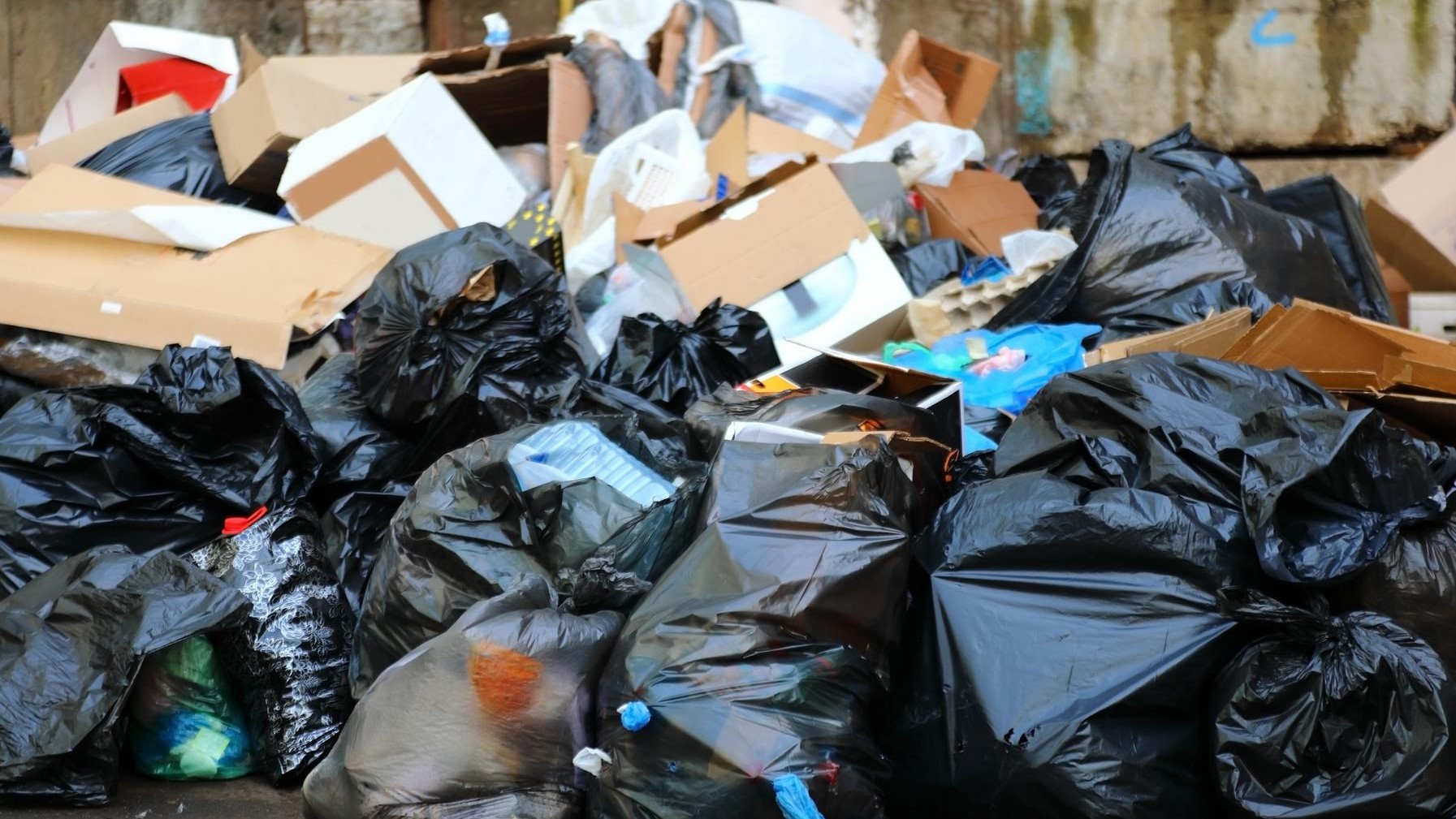 Abfall und Hausmüll Container Entsorgung in Hameln